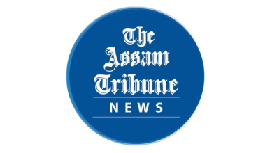 Experts deliberate on clean energy, future of Assam tea