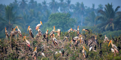 Steering an ESG framework for ‘Aatmanirbhar Bharat’